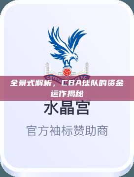 全景式解析，CBA球队的资金运作揭秘