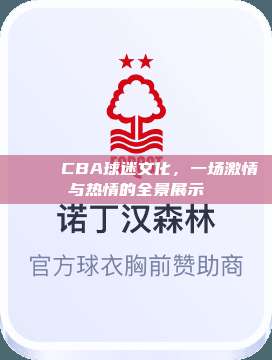 🎉 CBA球迷文化，一场激情与热情的全景展示