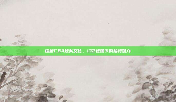 探析CBA球队文化，132视角下的独特魅力