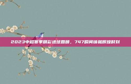 2023中超赛季精彩进球回顾，747瞬间铸就辉煌时刻