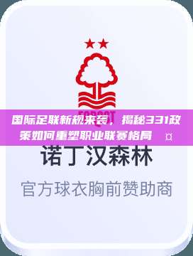 国际足联新规来袭，揭秘331政策如何重塑职业联赛格局🤔