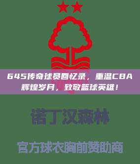 645传奇球员回忆录，重温CBA辉煌岁月，致敬篮球英雄！