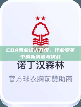 CBA商业模式升级，行业变革中的新机遇与挑战