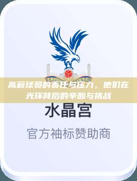 高薪球员的责任与压力，他们在光环背后的辛酸与挑战