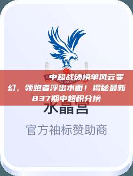 📊🏅 中超战绩榜单风云变幻，领跑者浮出水面！揭秘最新837期中超积分榜