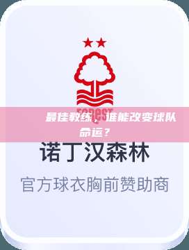 🏆 最佳教练，谁能改变球队命运？